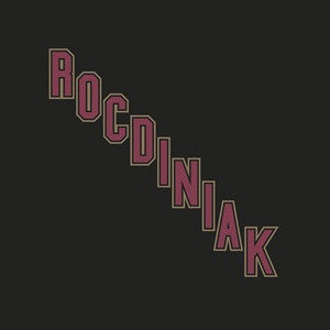 Bassi Maestro & DJ Shocca - Rocdiniak (LP, Ltd)